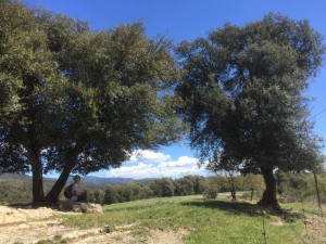 yoga hiking retreat spain