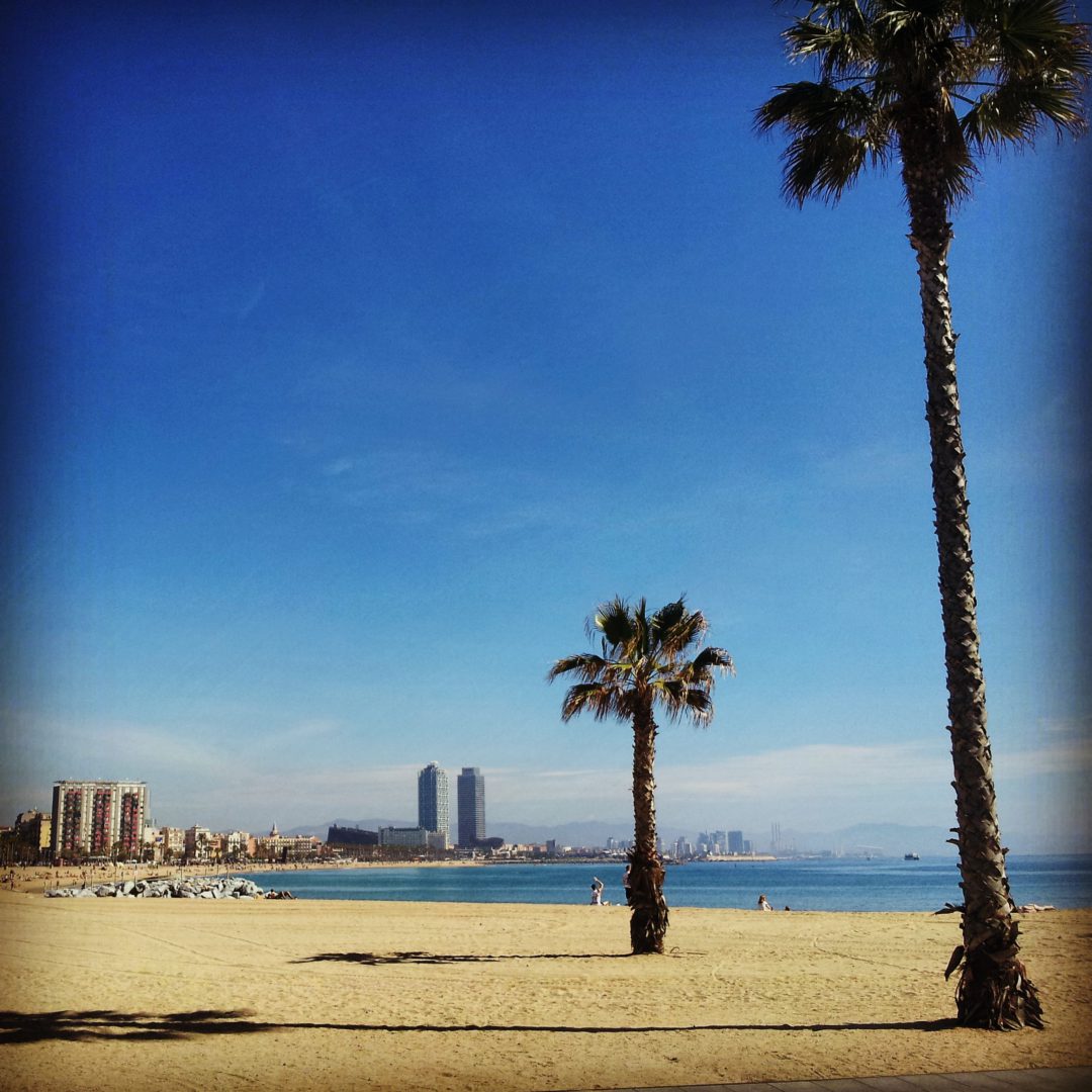 Messi jersey barcelona