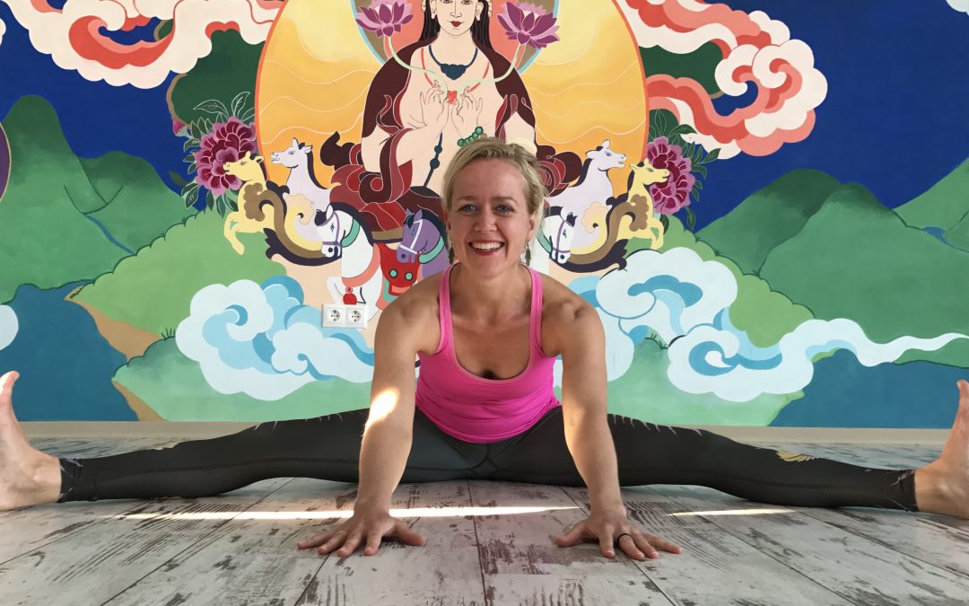 Yogalessen Yoga Schermerhorn september oktober 2023